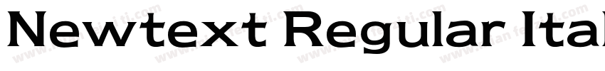 Newtext Regular Italic BT字体转换